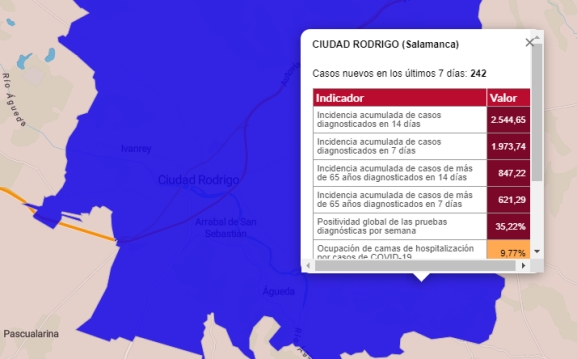 Aluvión de positivos por toda la comarca: casi 200 en 26 localidades, 121 de ellos en Ciudad Rodrigo